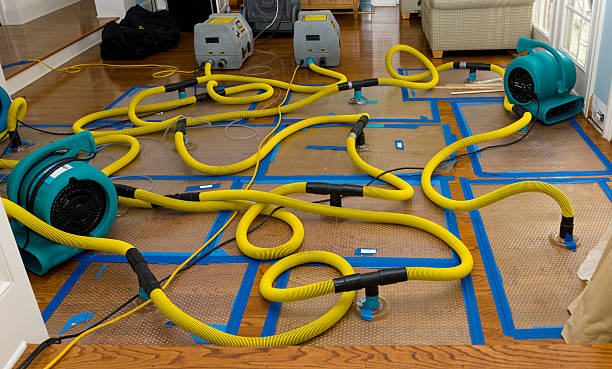 Professional Sewage Cleanup technician working in Stacy, NC